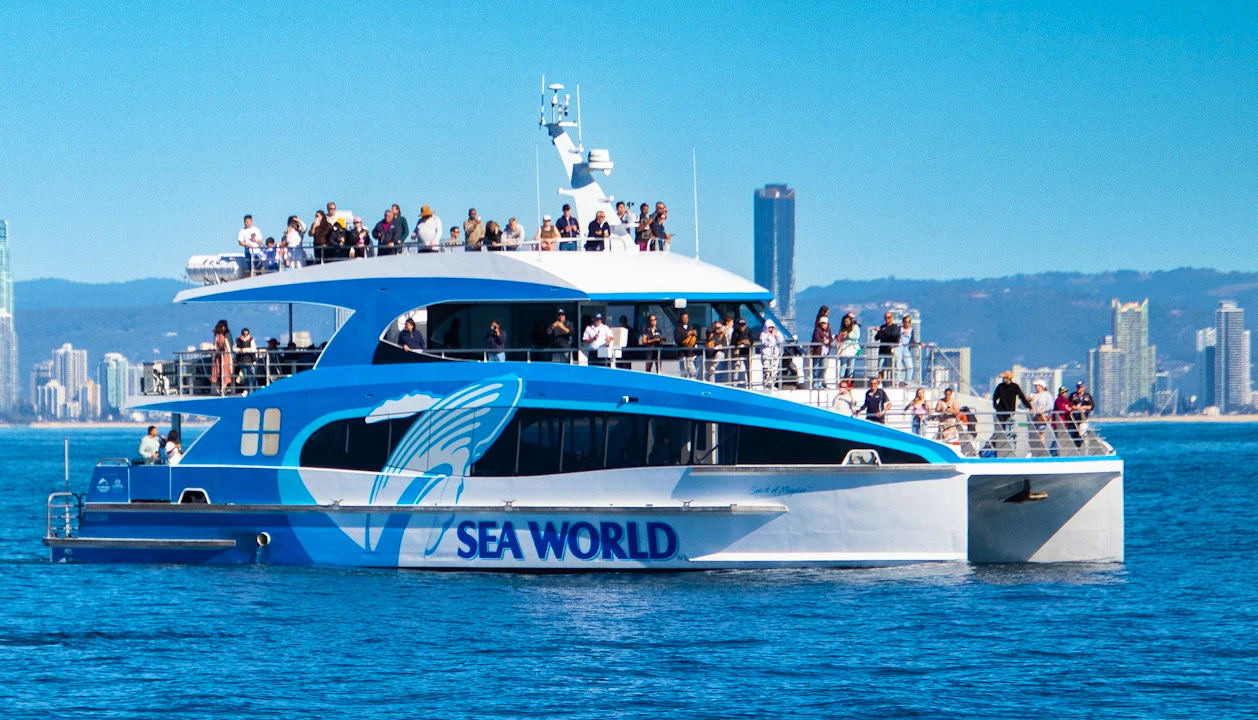 Sea World Whale Watching Cruise